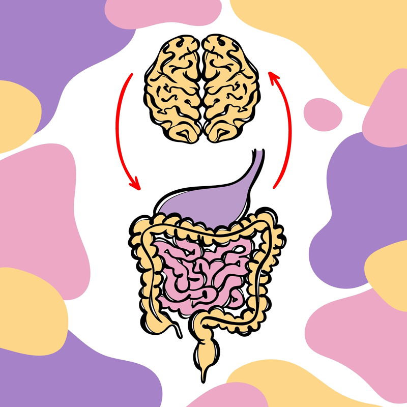 Graphic of liver and brain